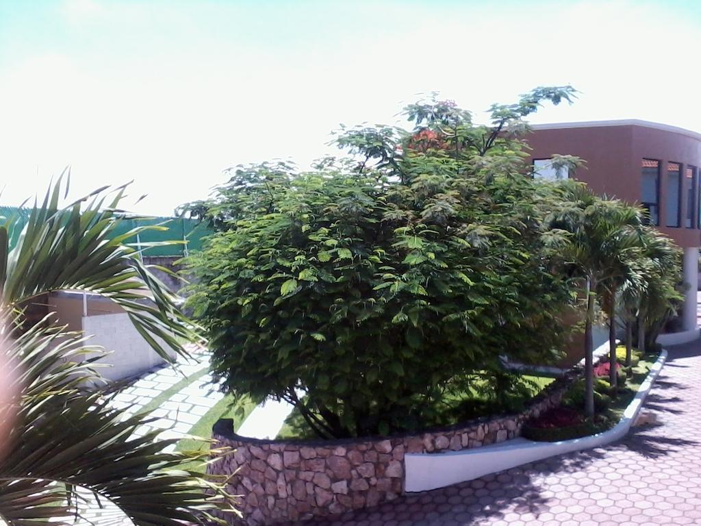 Hotel - Motel Pasion Yecapixtla Екстер'єр фото